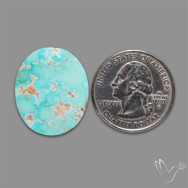 Rare Nishapuri Feroza Turquoise Cabochon Authentic