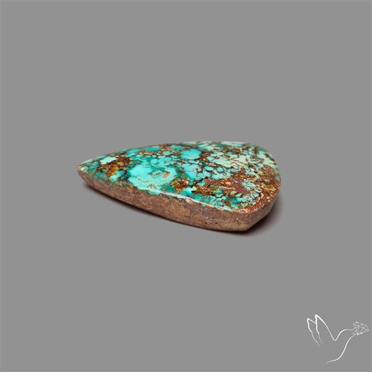 Rare Nishapuri Feroza Turquoise Cabochon Authentic