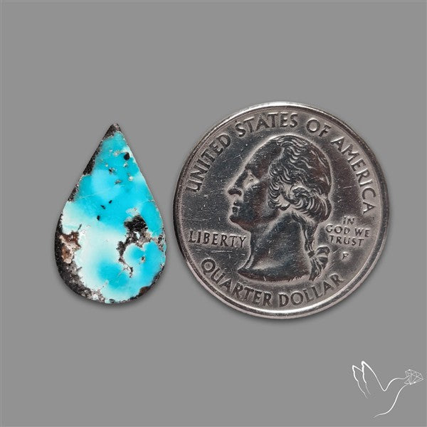 Rare Nishapuri Feroza Turquoise Cabochon Authentic