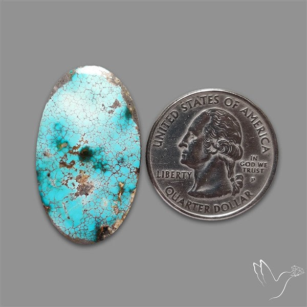 Rare Nishapuri Feroza Turquoise Cabochon Authentic