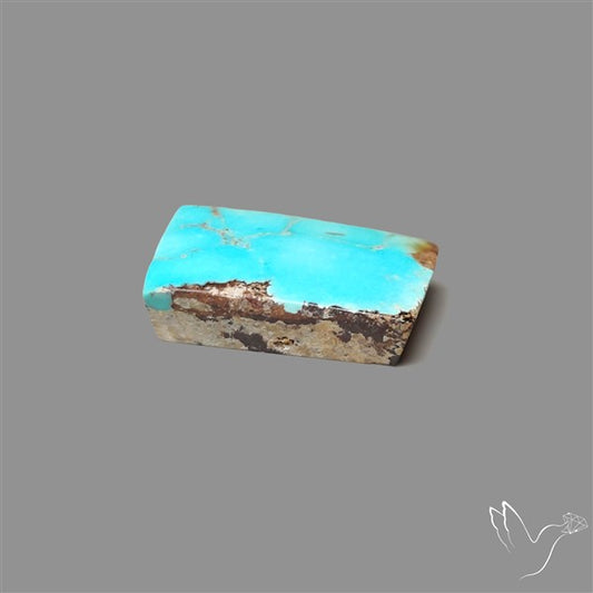 Rare Nishapuri Feroza Turquoise Cabochon Authentic