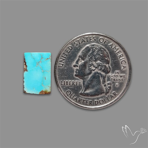 Rare Nishapuri Feroza Turquoise Cabochon Authentic