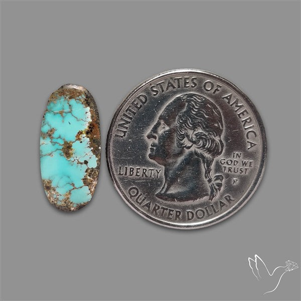 Rare Nishapuri Feroza Turquoise Cabochon Authentic