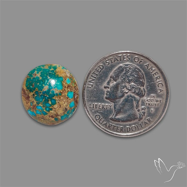 Rare Nishapuri Feroza Turquoise Cabochon Authentic