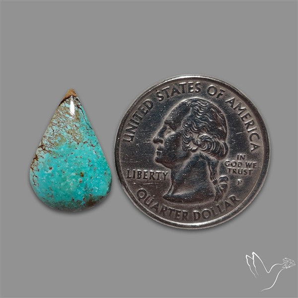 Rare Nishapuri Feroza Turquoise Cabochon Authentic