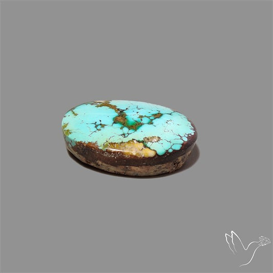 Rare Nishapuri Feroza Turquoise Cabochon Authentic