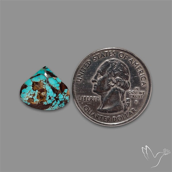 Rare Nishapuri Feroza Turquoise Cabochon Authentic