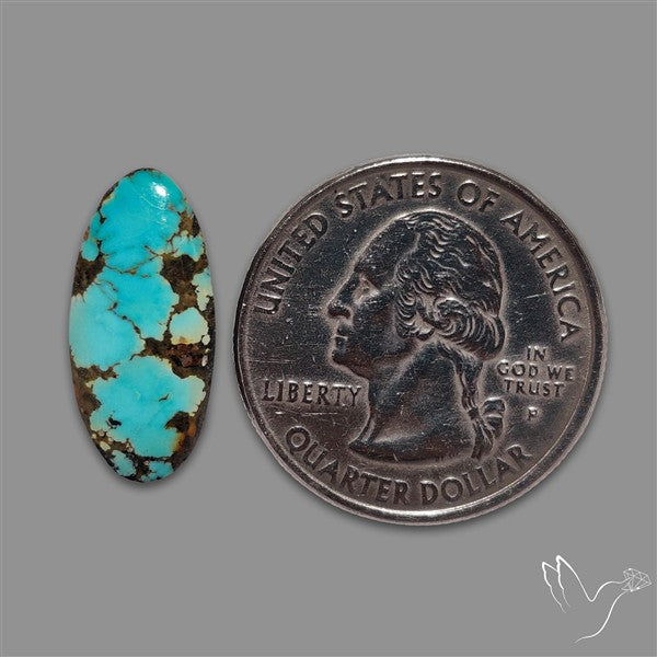 Rare Nishapuri Feroza Turquoise Cabochon Authentic