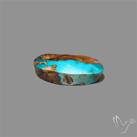 Rare Nishapuri Feroza Turquoise Cabochon Authentic