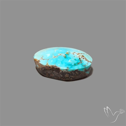 Rare Nishapuri Feroza Turquoise Cabochon Authentic