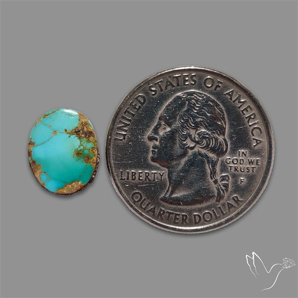 Rare Nishapuri Feroza Turquoise Cabochon Authentic