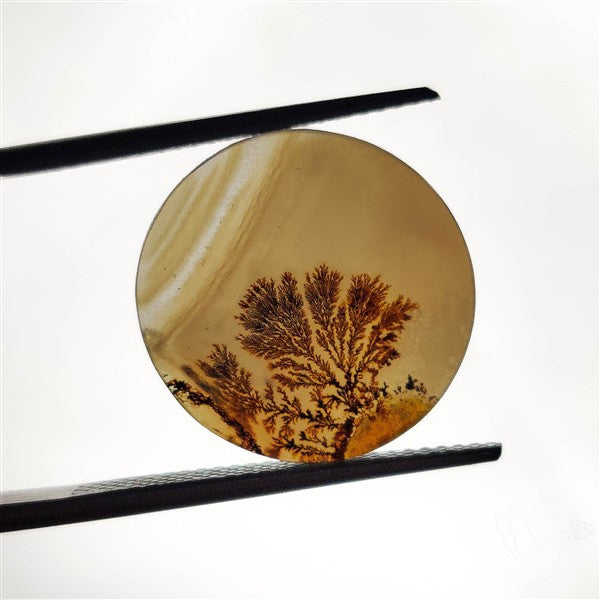 Scenic Agate Cabochon