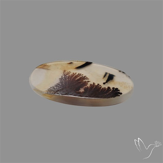 Scenic Agate Cabochon