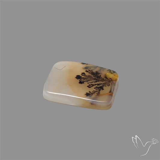 Scenic Agate Cabochon