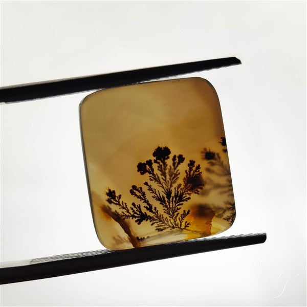 Scenic Agate Cabochon