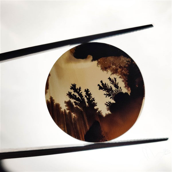 Scenic Agate Cabochon