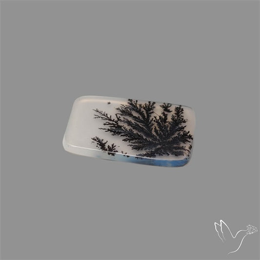 Scenic Agate Cabochon