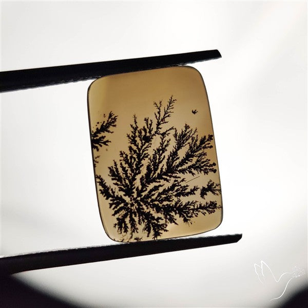 Scenic Agate Cabochon