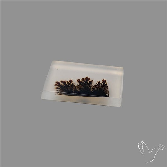 Scenic Agate Cabochon