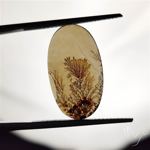 Scenic Agate Cabochon