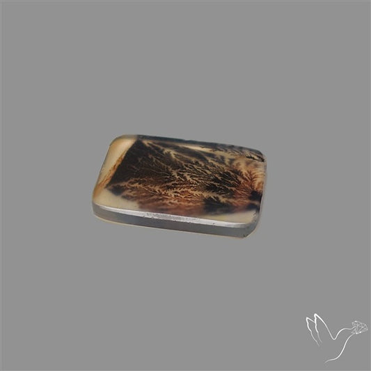 Scenic Agate Cabochon