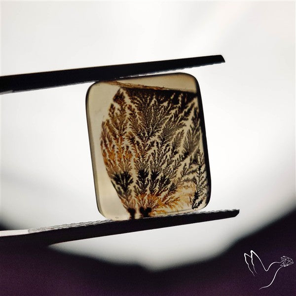 Scenic Agate Cabochon