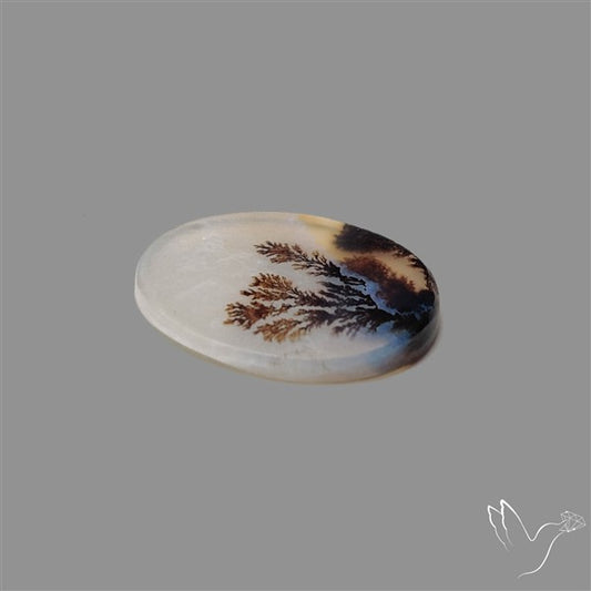 Scenic Agate Cabochon