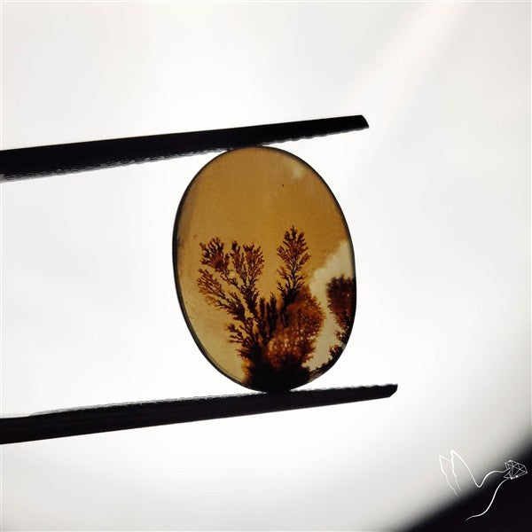 Scenic Agate Cabochon