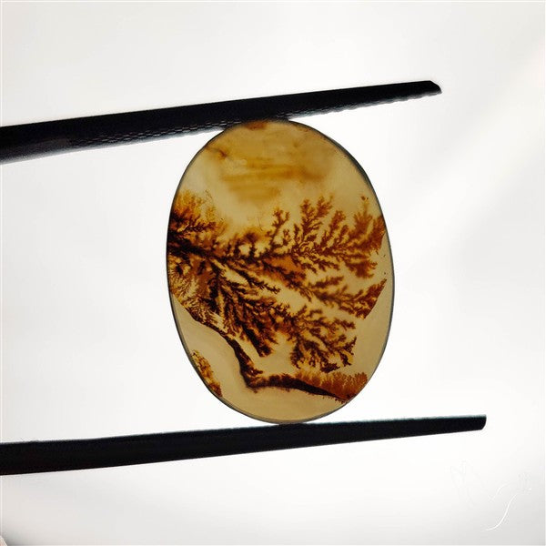 Scenic Agate Cabochon
