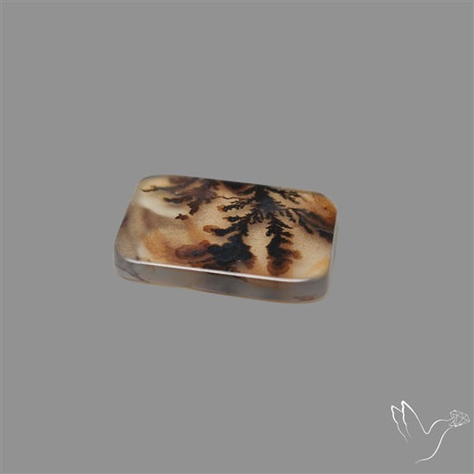 Scenic Agate Cabochon