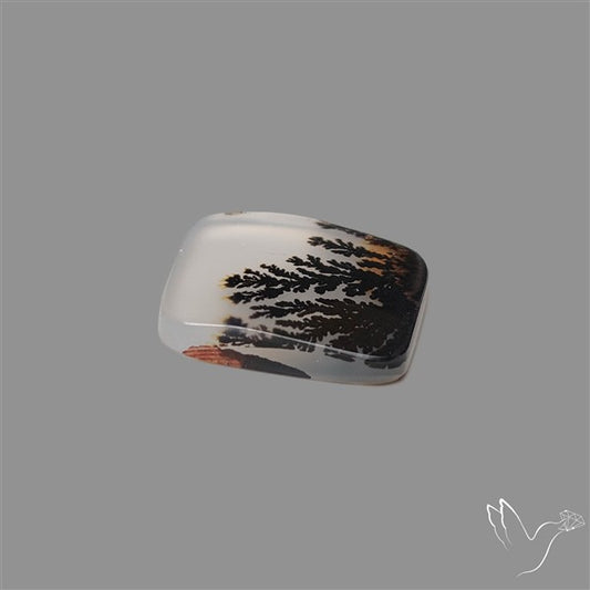 Scenic Agate Cabochon