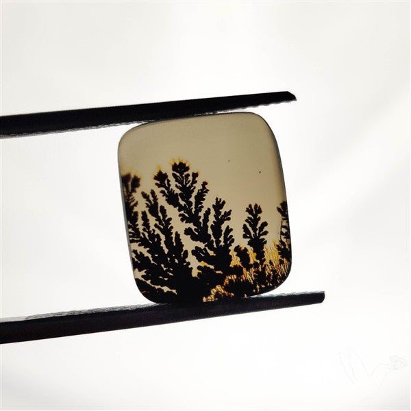 Scenic Agate Cabochon