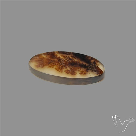 Scenic Agate Cabochon