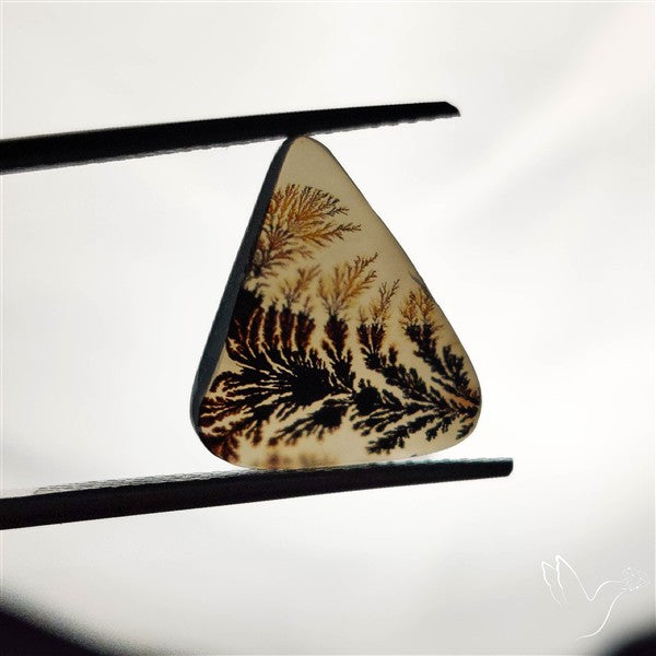 Scenic Agate Cabochon
