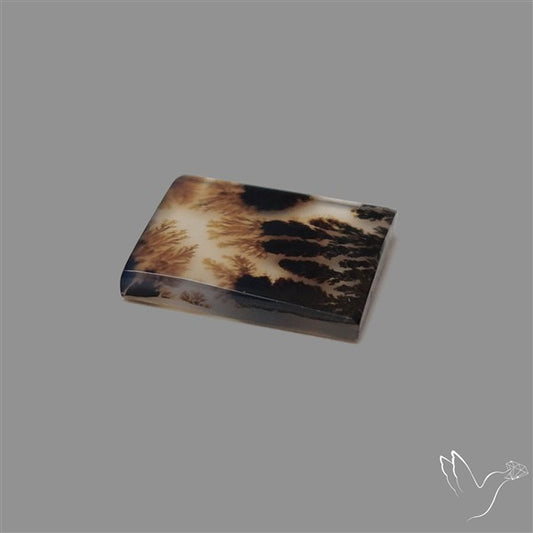 Scenic Agate Cabochon