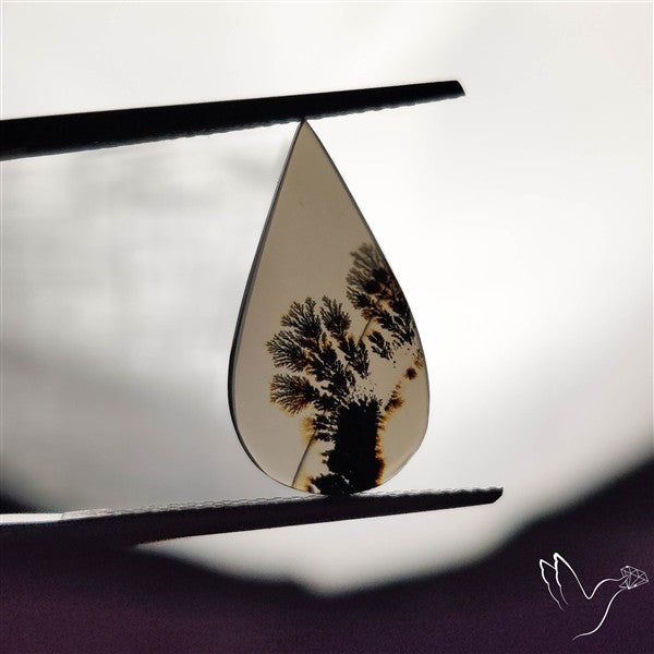 Scenic Agate Cabochon