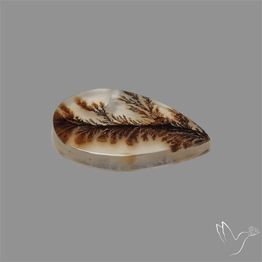 Scenic Agate Cabochon