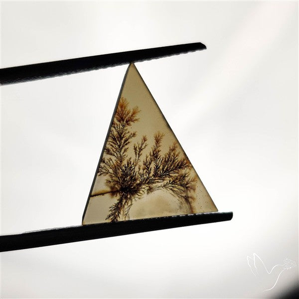 Scenic Agate Cabochon
