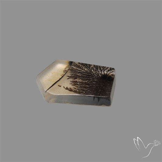 Scenic Agate Cabochon