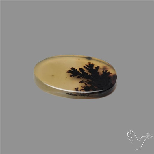 Scenic Agate Cabochon