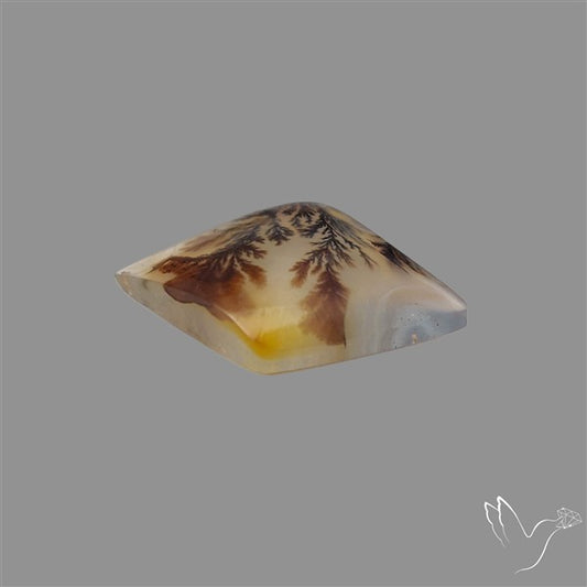 Scenic Agate Cabochon