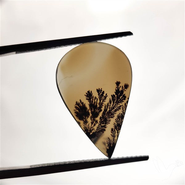 Scenic Agate Cabochon