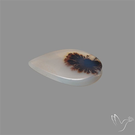 Scenic Agate Cabochon