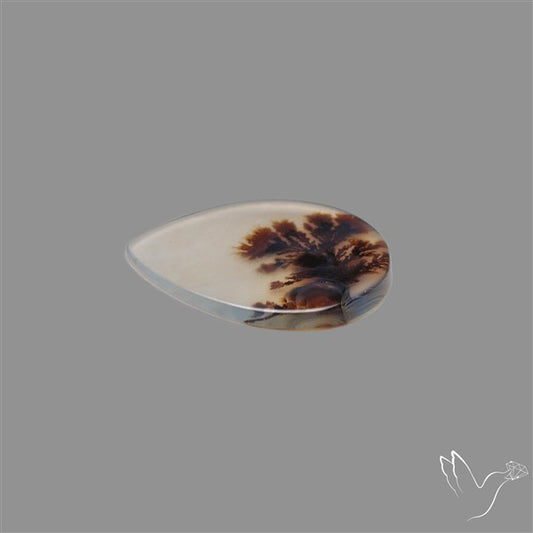 Scenic Agate Cabochon