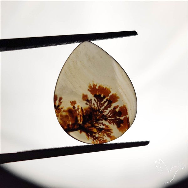 Scenic Agate Cabochon