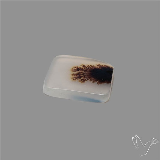 Scenic Agate Cabochon