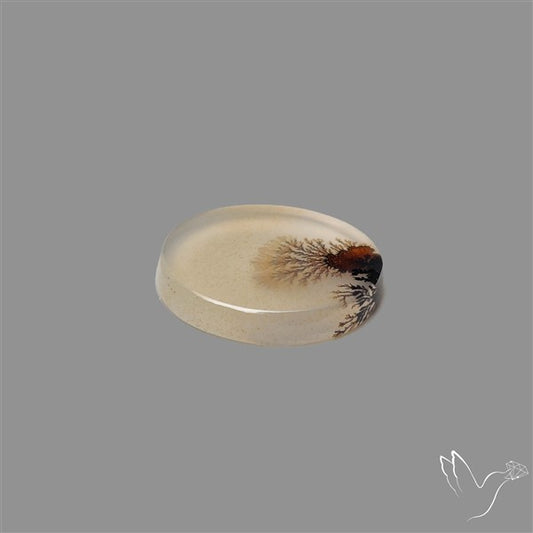 Scenic Agate Cabochon