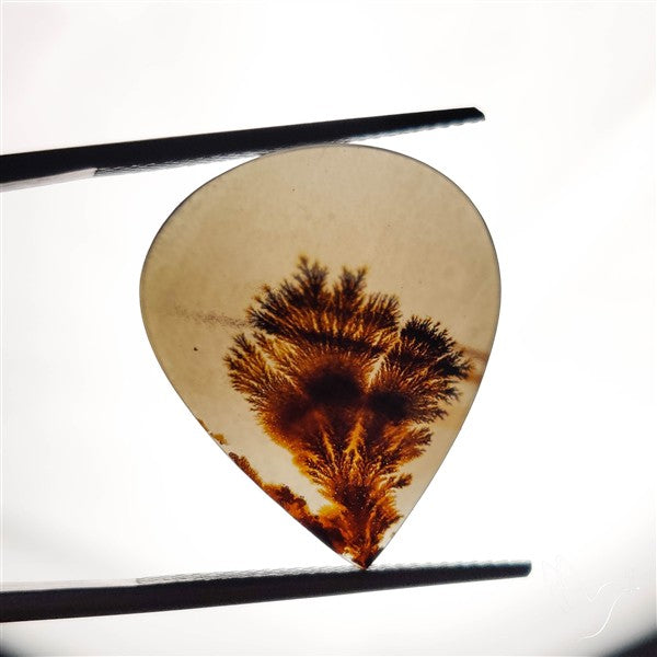 Scenic Agate Cabochon