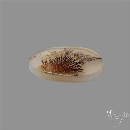 Scenic Agate Cabochon