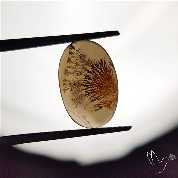 Scenic Agate Cabochon
